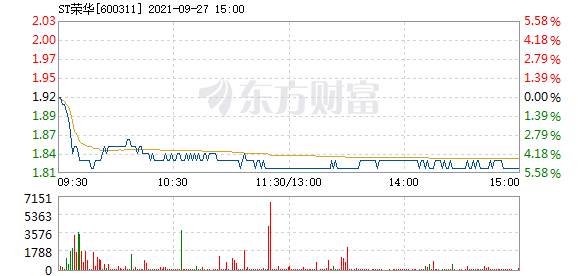 R图 600311_1