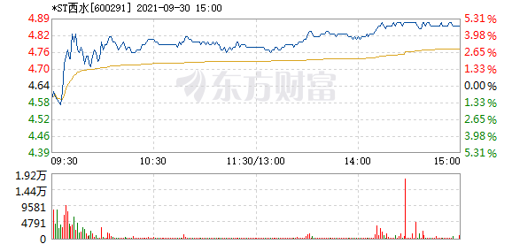 R图 600291_1